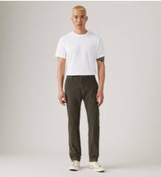 Xx Chino